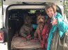 Ann & The Girls (Kizzy & Molly) travelling in their own vehicle from Marbella in S.Spain to their home in Divonne-les-Bains, nr Geneva, after their winter break in the sun.